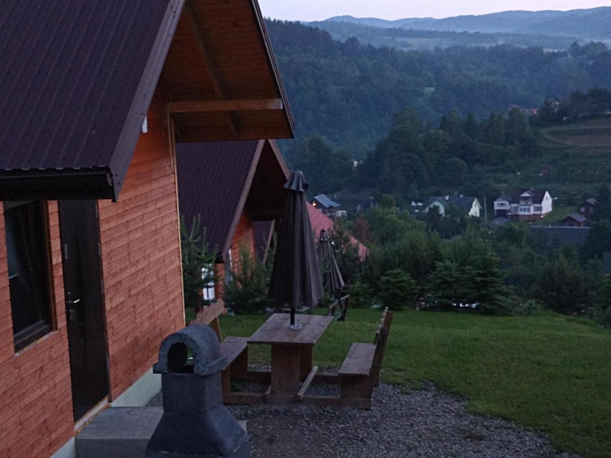 Domki I Apartamenty Nad Jeziorem Solinskim Z Basenem I Widokiem Na Gory Wolkowyja Exterior foto