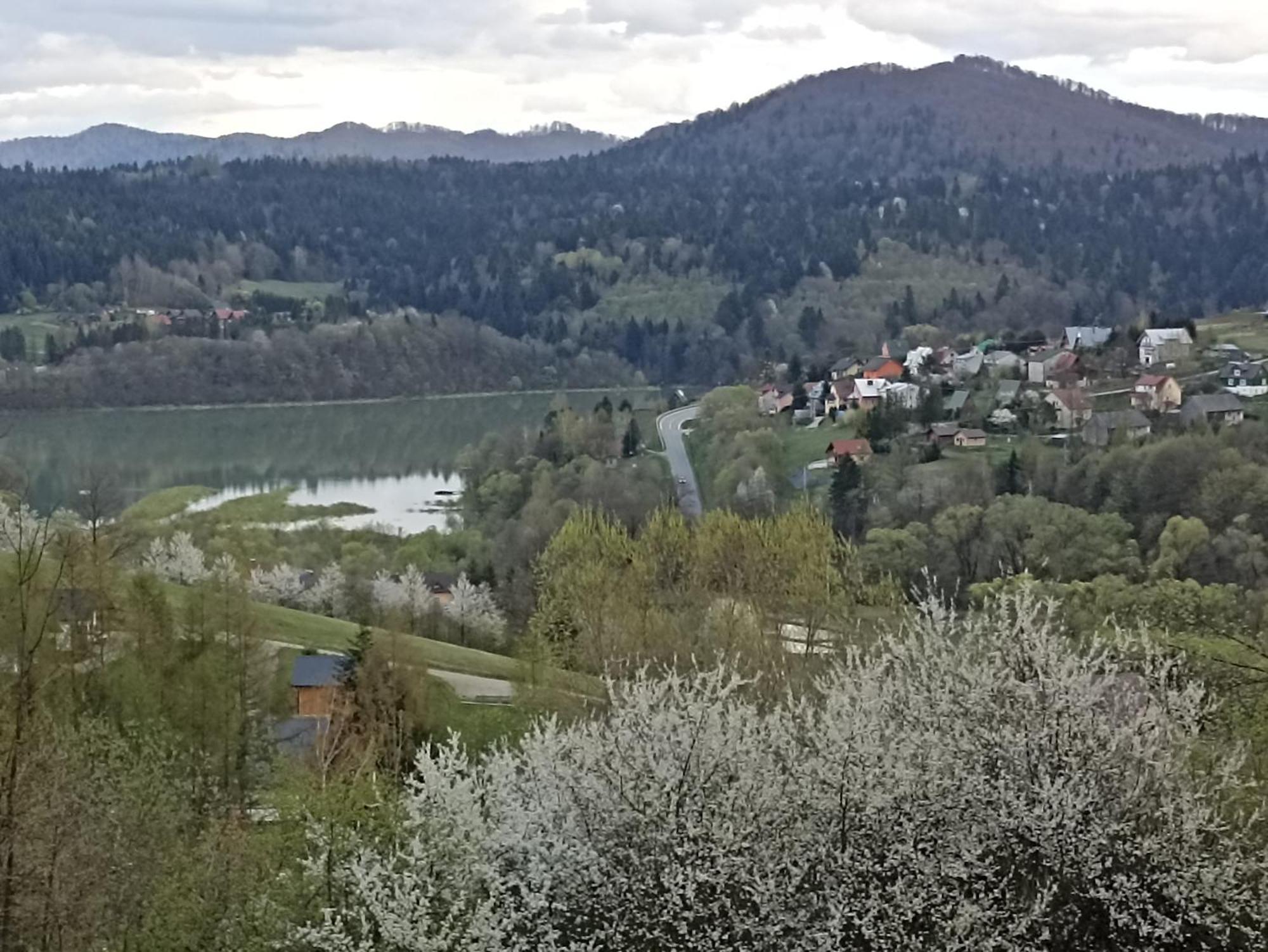 Domki I Apartamenty Nad Jeziorem Solinskim Z Basenem I Widokiem Na Gory Wolkowyja Habitación foto
